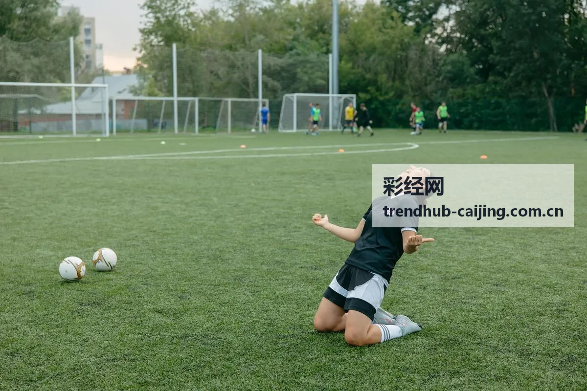 彩经网开奖数据查询